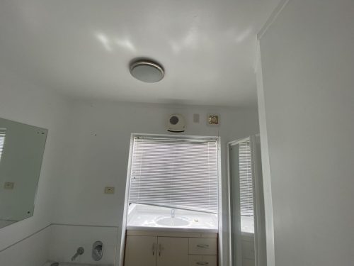 Copy of IMG 9910 optimized 250