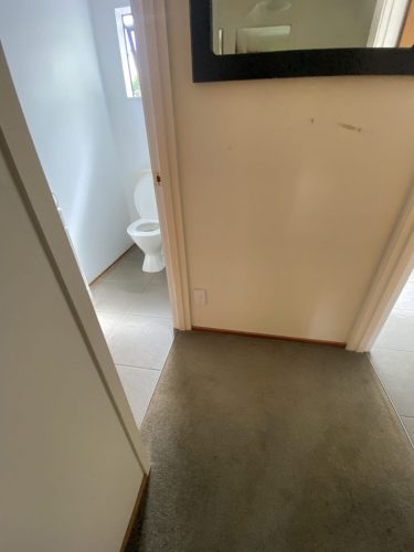 IMG 2662 1 optimized 250